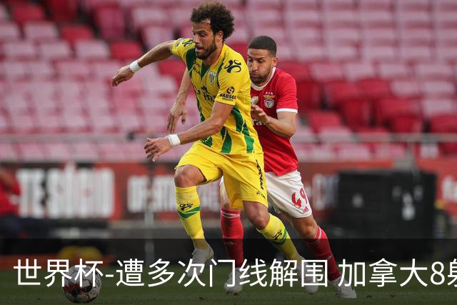 世界杯-遭多次门线解围 加拿大8射4正半场暂0-0南非