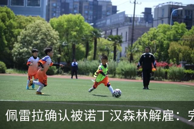 佩雷拉确认被诺丁汉森林解雇：完全出乎意料 失望难过但没有怨恨